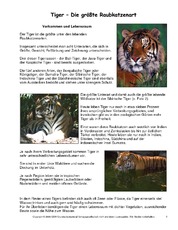 Tiger-Steckbrief.pdf